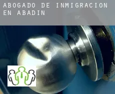 Abogado de inmigración en Abadín