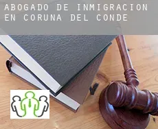 Abogado de inmigración en  Coruña del Conde