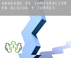 Abogado de inmigración en  Blecua y Torres