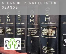 Abogado penalista en  Obanos