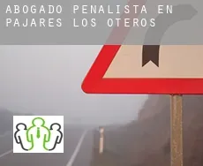 Abogado penalista en  Pajares de los Oteros