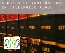 Abogado de inmigración en  Cilleruelo de Abajo