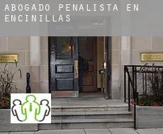Abogado penalista en  Encinillas