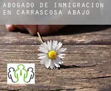 Abogado de inmigración en  Carrascosa de Abajo