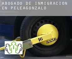 Abogado de inmigración en  Peleagonzalo