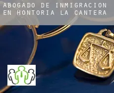 Abogado de inmigración en  Hontoria de la Cantera