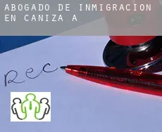 Abogado de inmigración en  Cañiza (A)