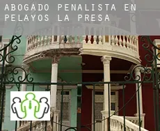 Abogado penalista en  Pelayos de la Presa