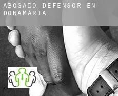 Abogado defensor en  Donamaria