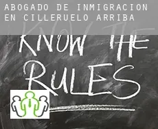 Abogado de inmigración en  Cilleruelo de Arriba