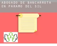 Abogado de bancarrota en  Páramo del Sil