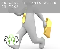 Abogado de inmigración en  Toga