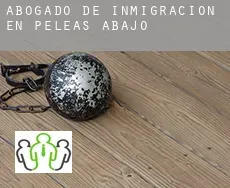 Abogado de inmigración en  Peleas de Abajo